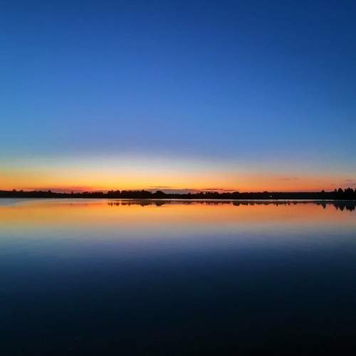 Photo #9466522