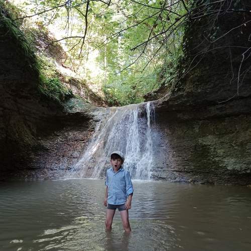 Photo #9466734