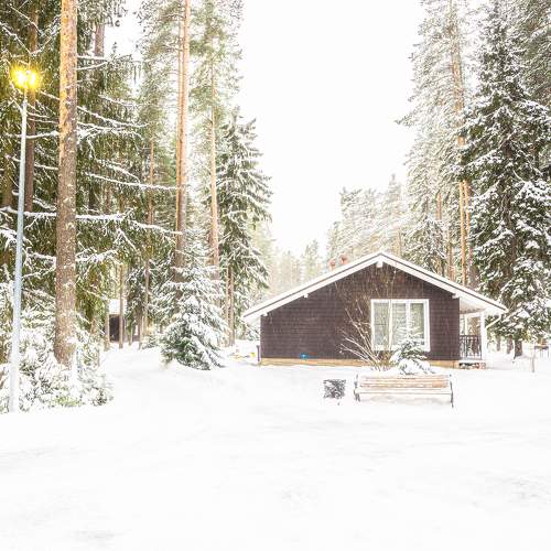 Photo #9466959