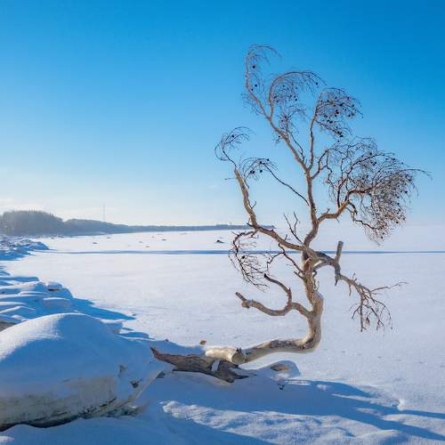 Photo #9466960