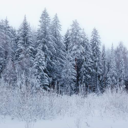 Photo #9467030