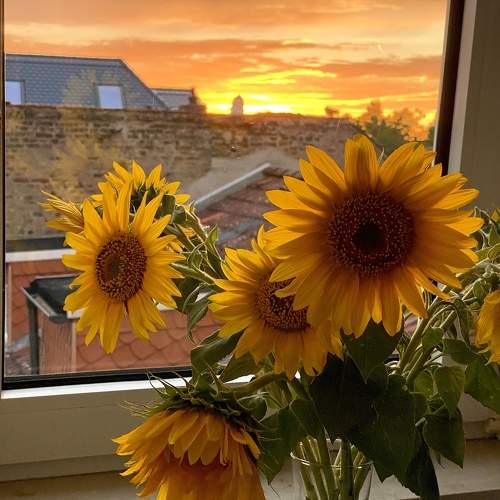 Photo #9467113