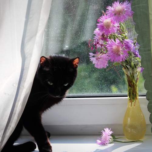 Photo #9467218