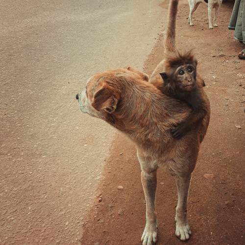 Photo #9467275