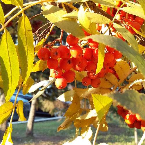 Photo #9467336
