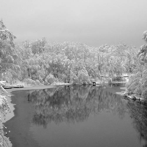Photo #9468076