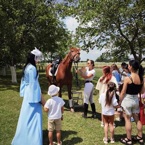 Photo #9468131