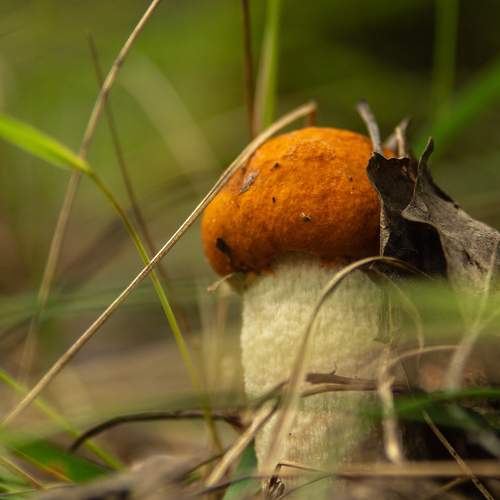Photo #9468201
