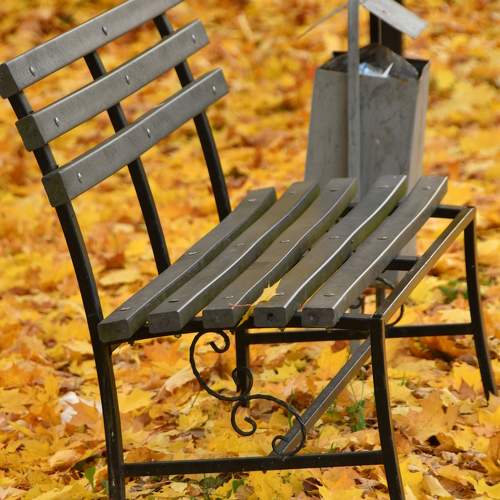 Photo #9469113