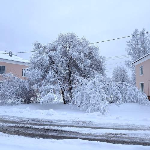Photo #9469232