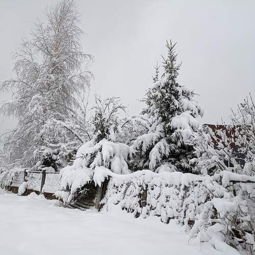 Photo #9469238