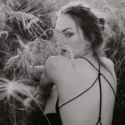 Photo #9469439