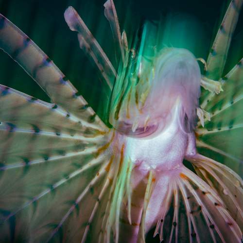 Фотография #9469467