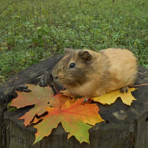 Photo #9469974