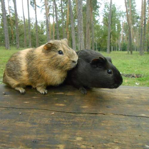 Photo #9470023