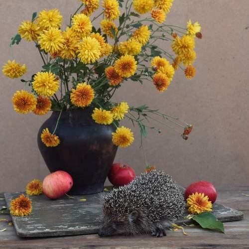 Photo #9470190