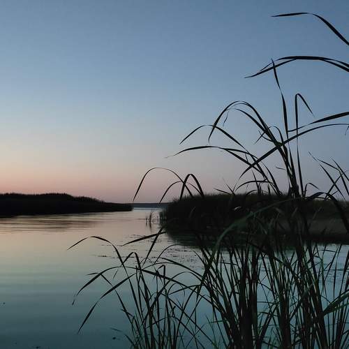Photo #9470312