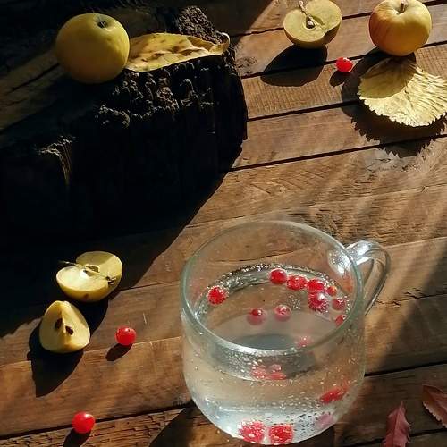 Photo #9470531
