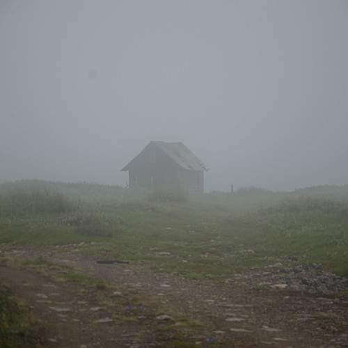Photo #9470637
