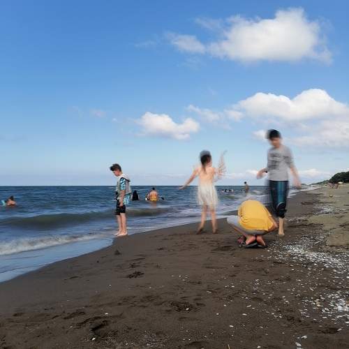 Photo #9470702