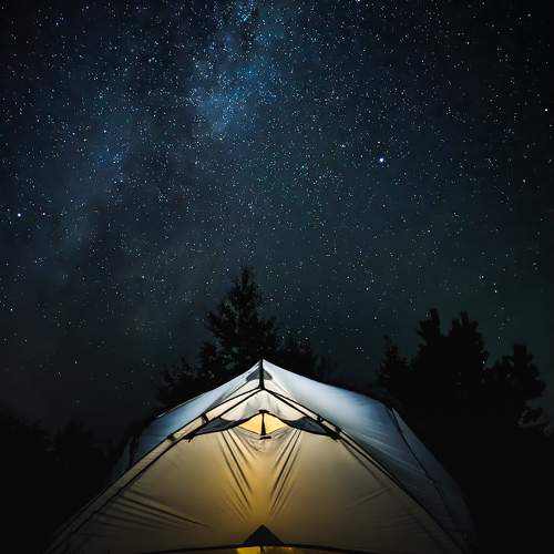 Photo #9470745