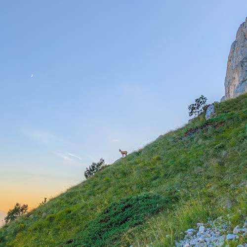 Photo #9470767