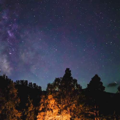 Photo #9470773