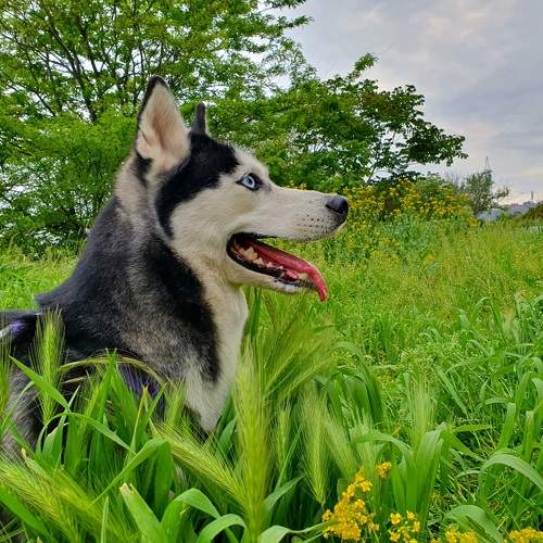 Photo #9472384