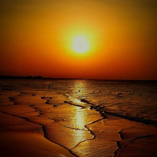 Photo #9473019