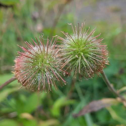 Photo #9473051