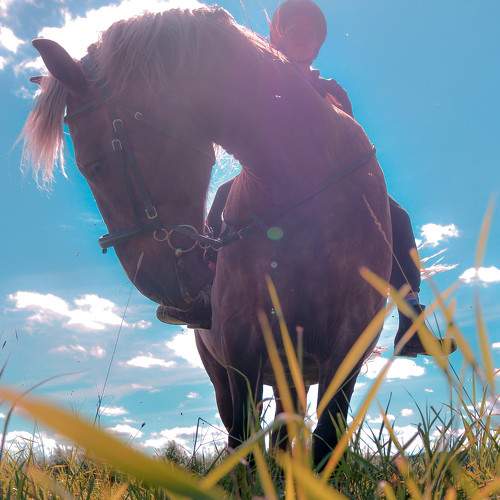 Photo #9474008