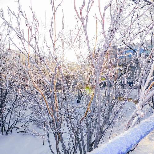 Photo #9474198