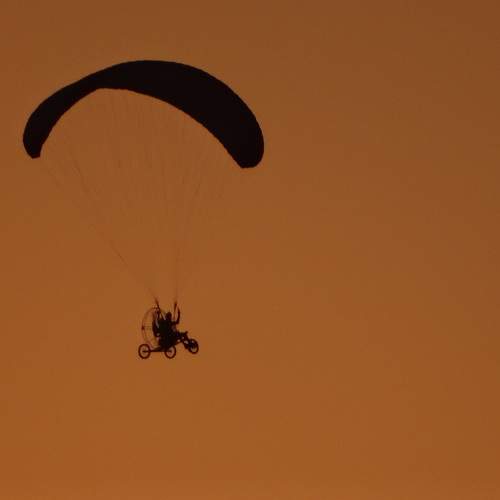 Photo #9474274