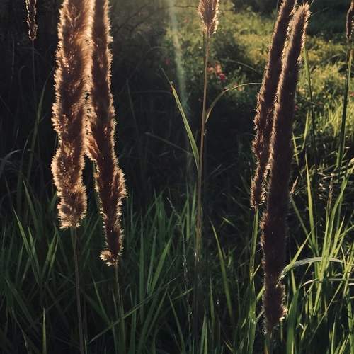 Photo #9474670