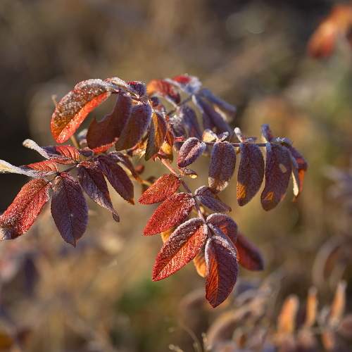 Photo #9475671