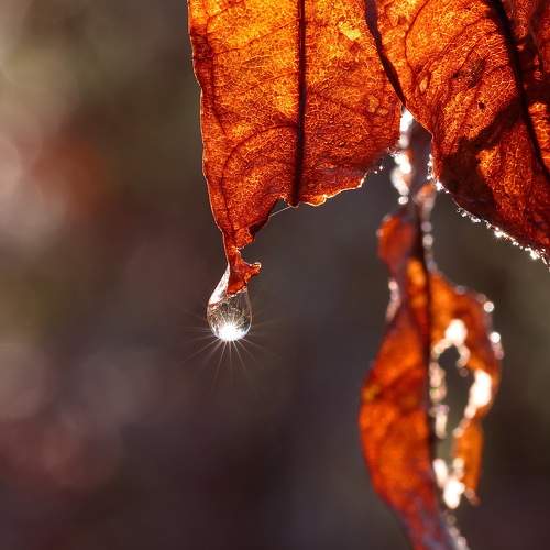 Photo #9475692