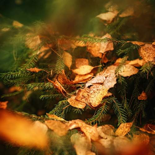 Photo #9475801