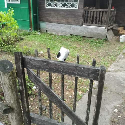 Photo #9476055