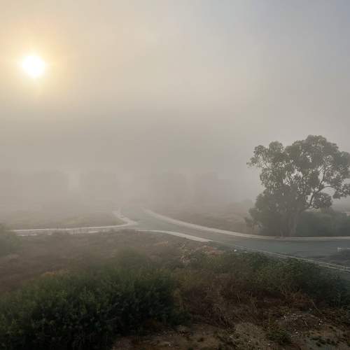 Photo #9476573