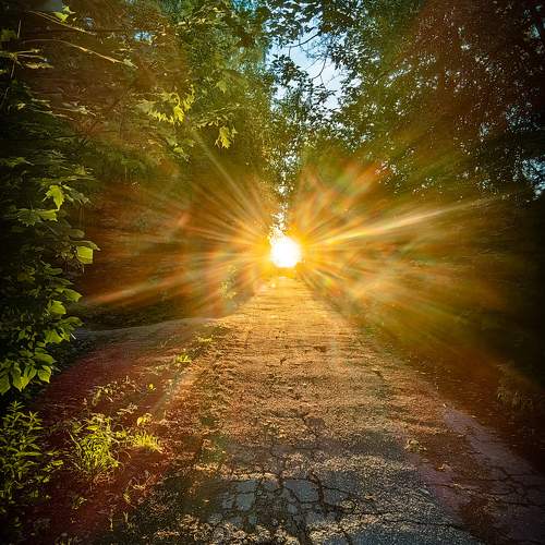 Photo #9476866
