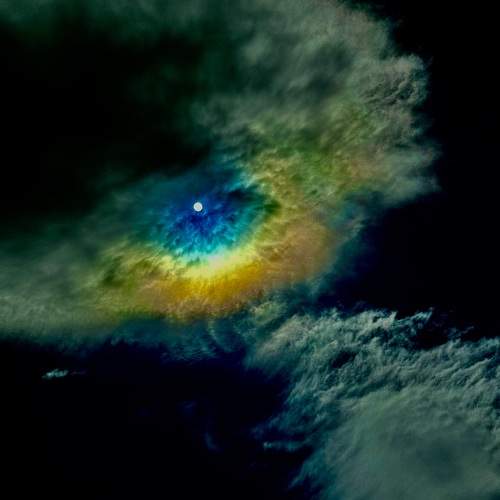 Photo #9477384