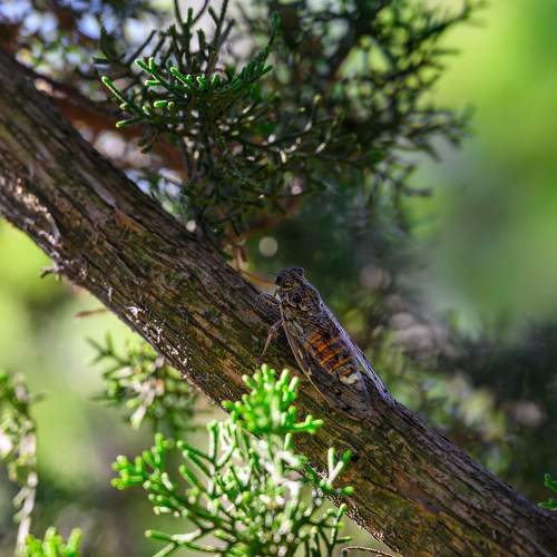 Photo #9477430