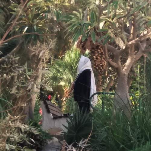 Photo #9477681