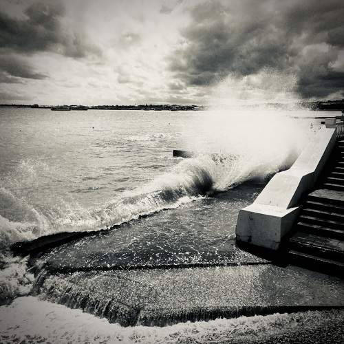 Photo #9477740