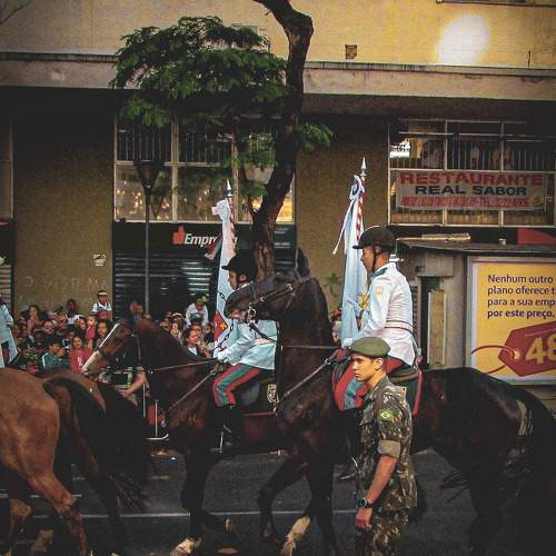 Photo #9477747