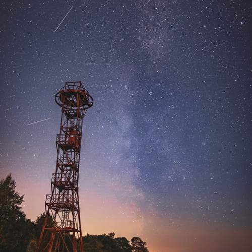 Фотография #9478098