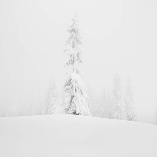 Photo #9478392