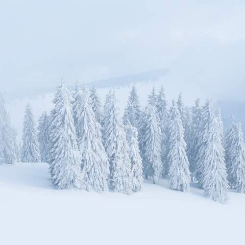 Photo #9478395