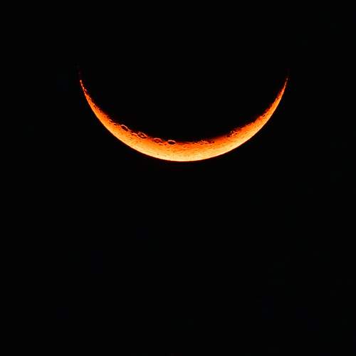 Photo #9478544