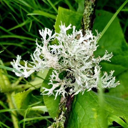 Photo #9478772